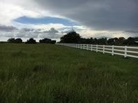 3 rail ranch style vinyl fence